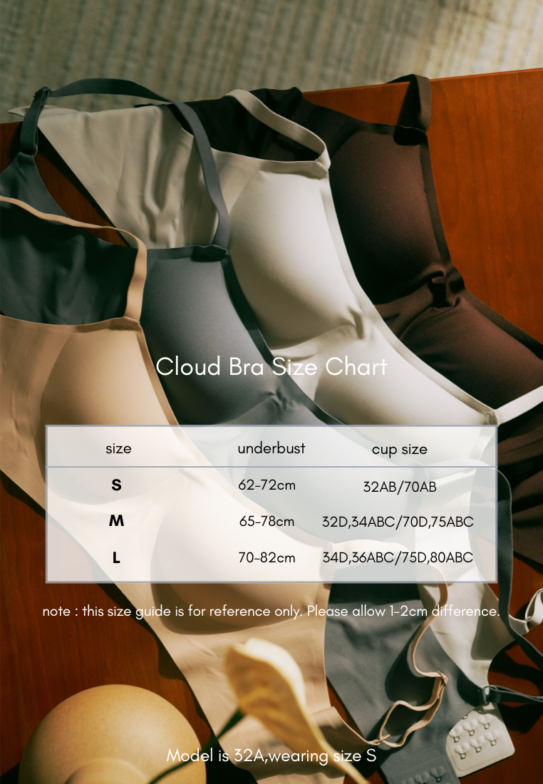 CLOUD BRA blue grey